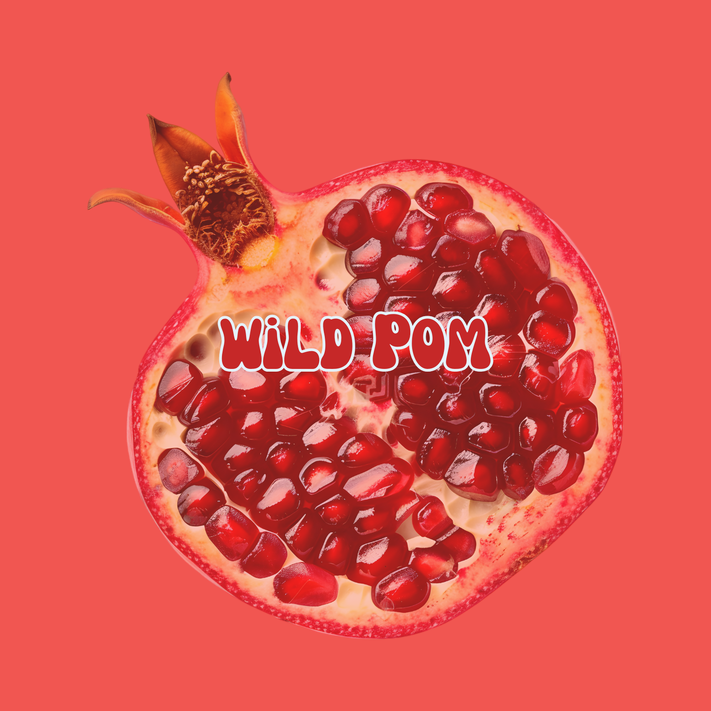 Wild Pom